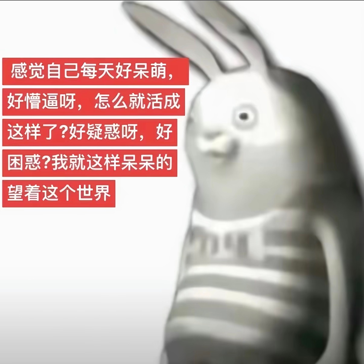 分享图片 