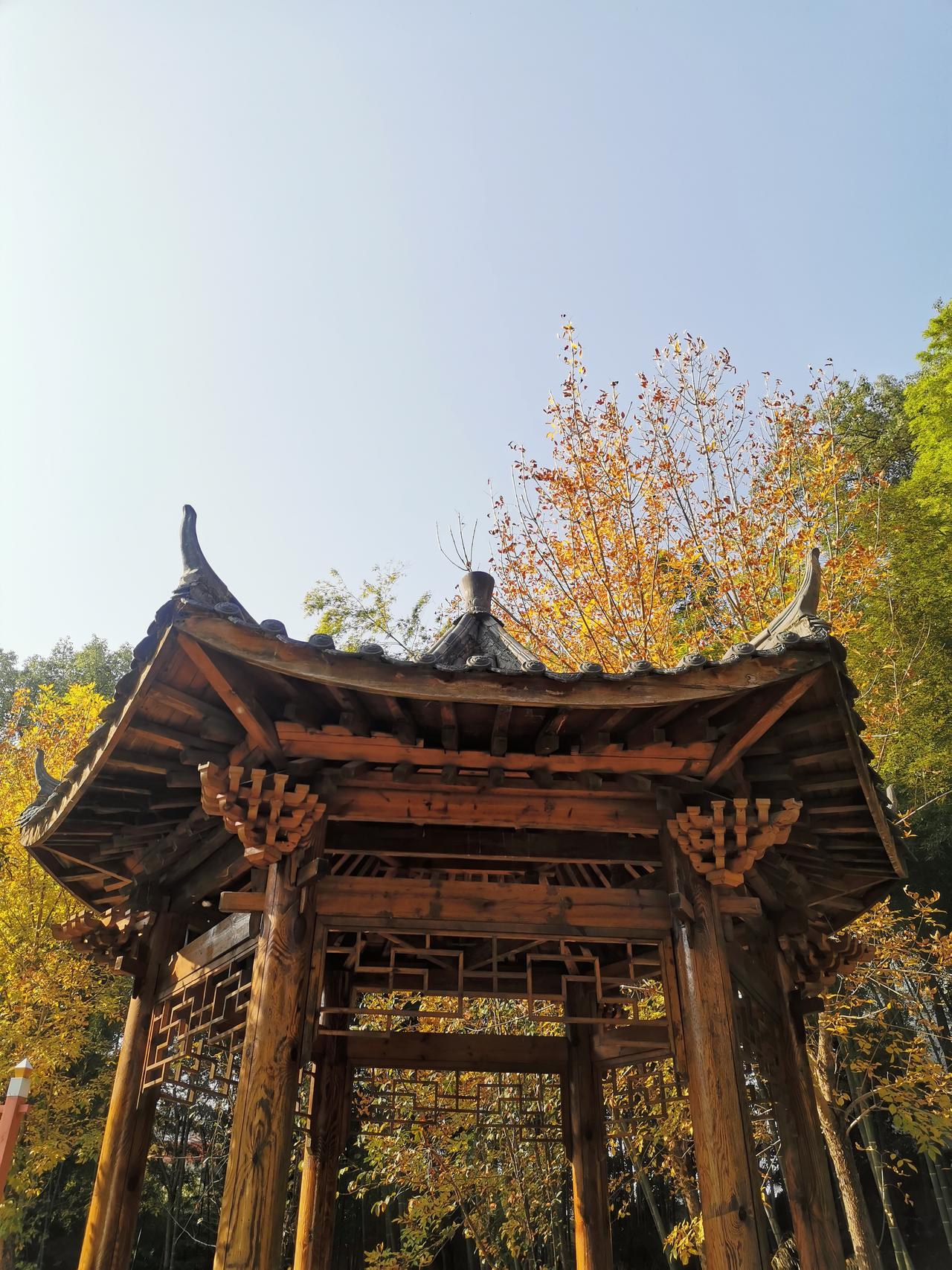 周日补充一下能量

上午将儿子送到补课班补课，自己在公园晒晒太阳，整个人懒洋洋的