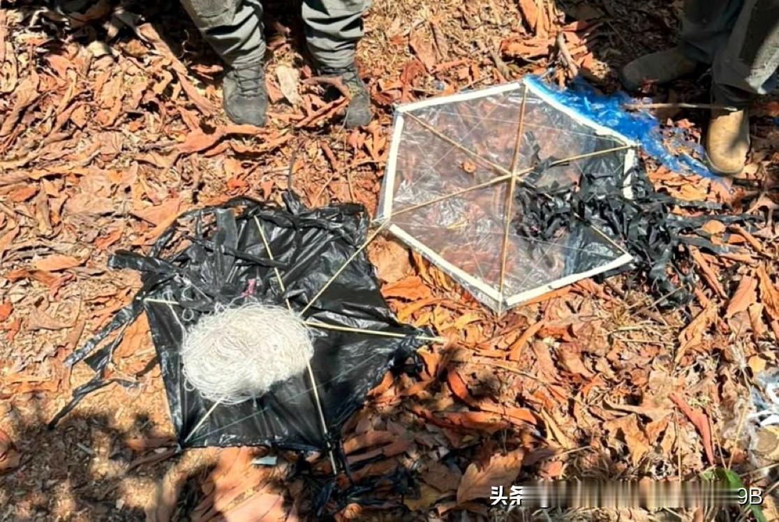过去一周，几只由巴勒斯坦青少年放飞的风筝已从加沙进入以色列领土。

以色列国防部