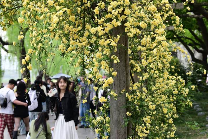 今日大风吹，后天气温开启狂飙模式，阵雨雷雨又要经常来串门了