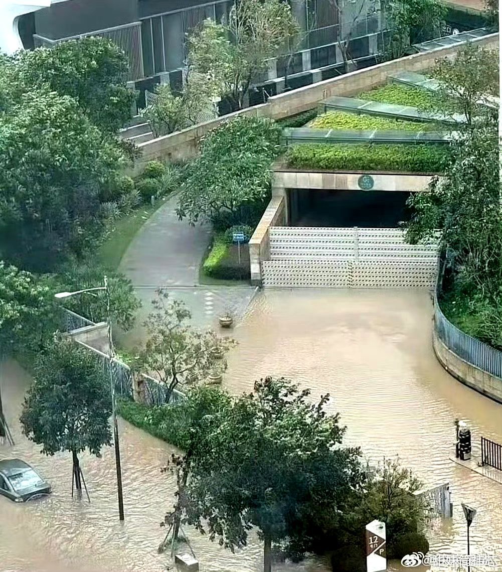 这物业费交的一点都不冤 