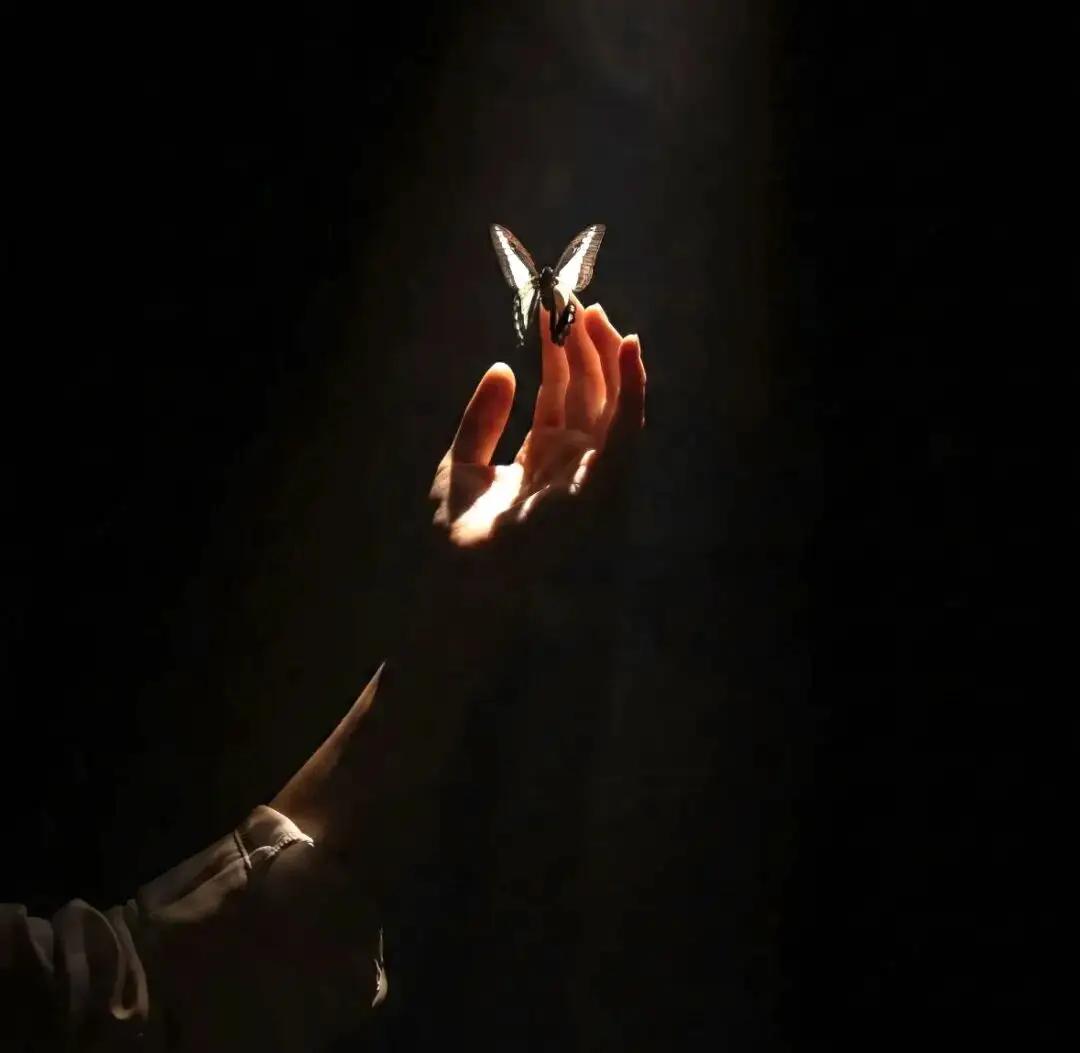 我真的好恨自己，我从未想过我的人生会是这样！烂泥里，我真的想伸手抓住光，我是19