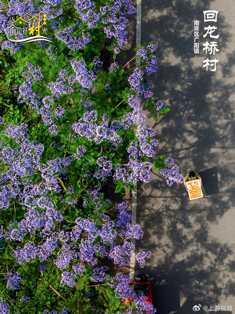 #渝见好村光#【渝见好“村”光 | 南岸区广阳镇：承包你的初夏游玩的快乐】#重庆