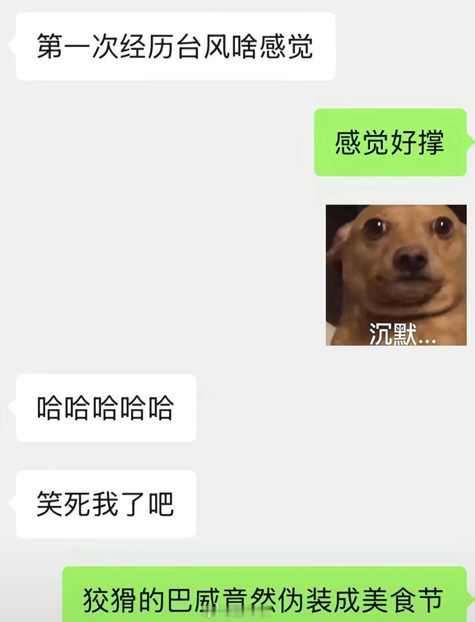 台风带来的副作用台风巴威