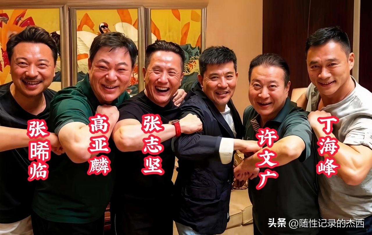 这6位男明星的合影里，就只有站在最右边的丁海峰的颜值最扛打，脸上的皮肤紧致，身材