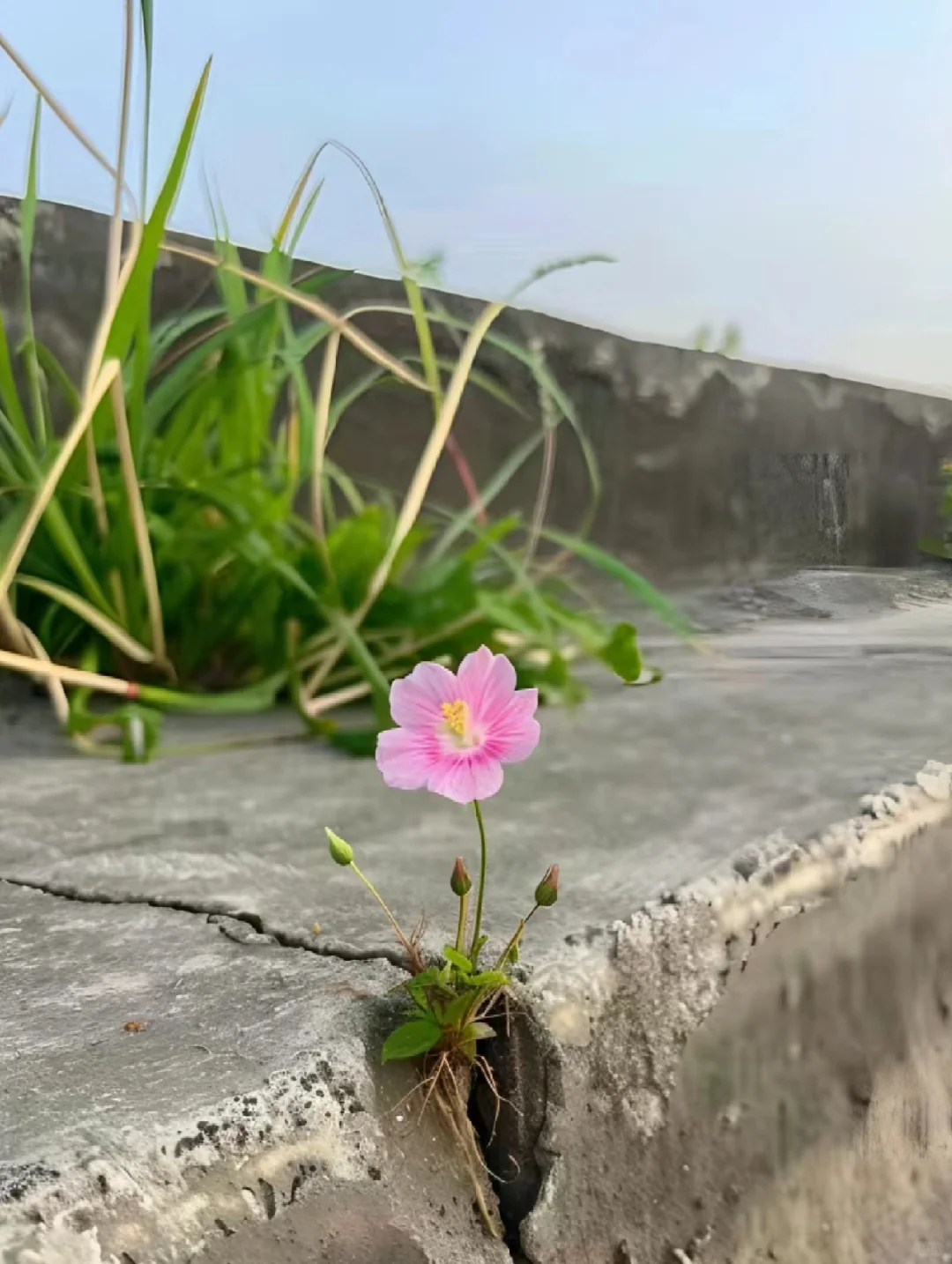 看到别人否定你， 你顿感情绪波动； 看到别人无视你， 你瞬间怒火冲天！...