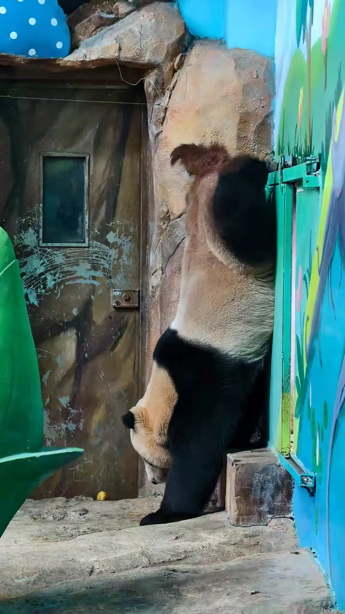 功夫酷上线😎