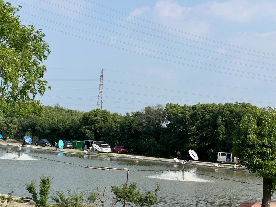 此刻，宜兴乡间一处垂钓园内钓友云集，撑着遮阳伞垂钓的景象并不多见。 宜兴·秦家坛