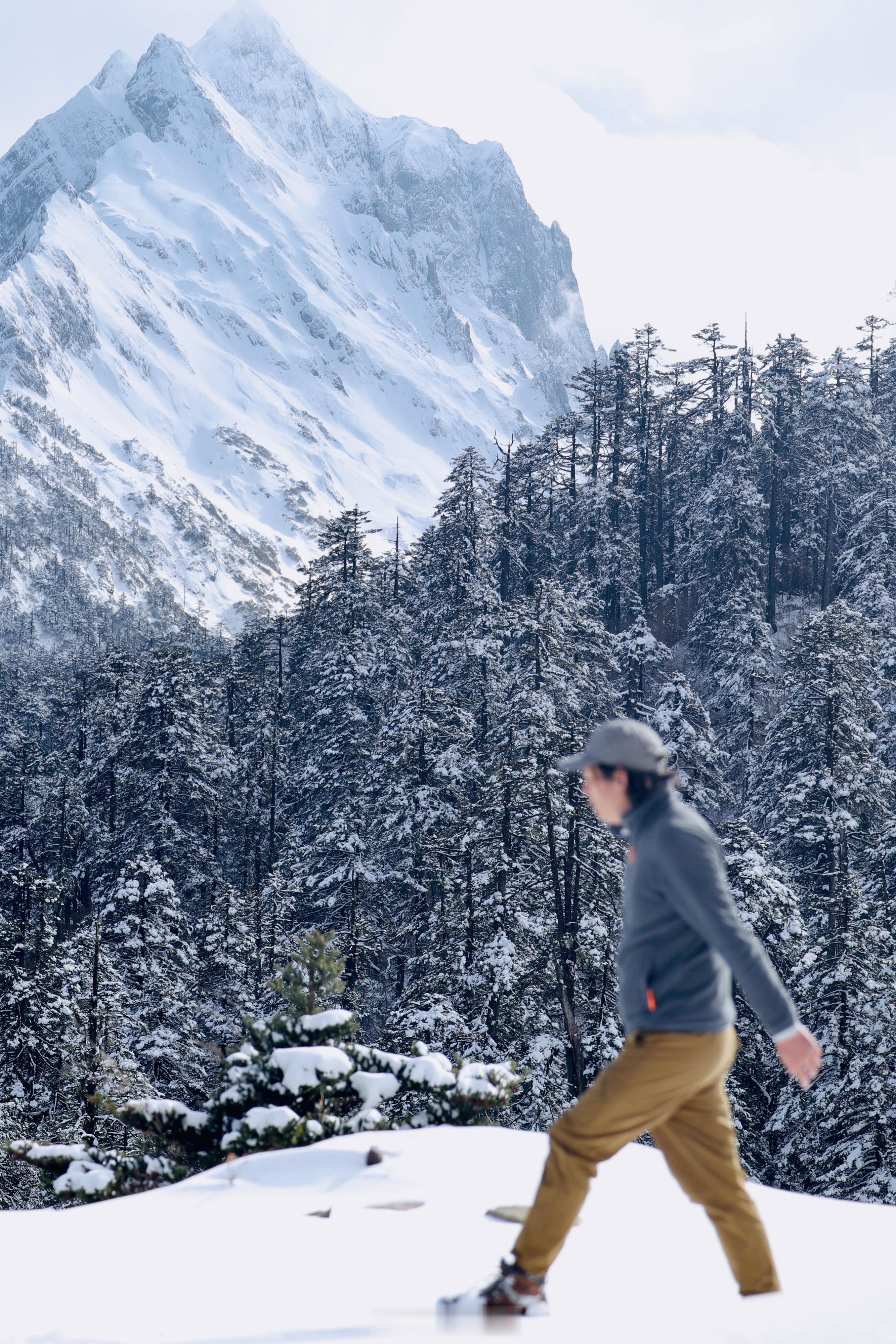 云南德贡公路孔雀山 下雪时就美成这样高原古树森林路边停下来雪地上取雪煮水泡一壶茶