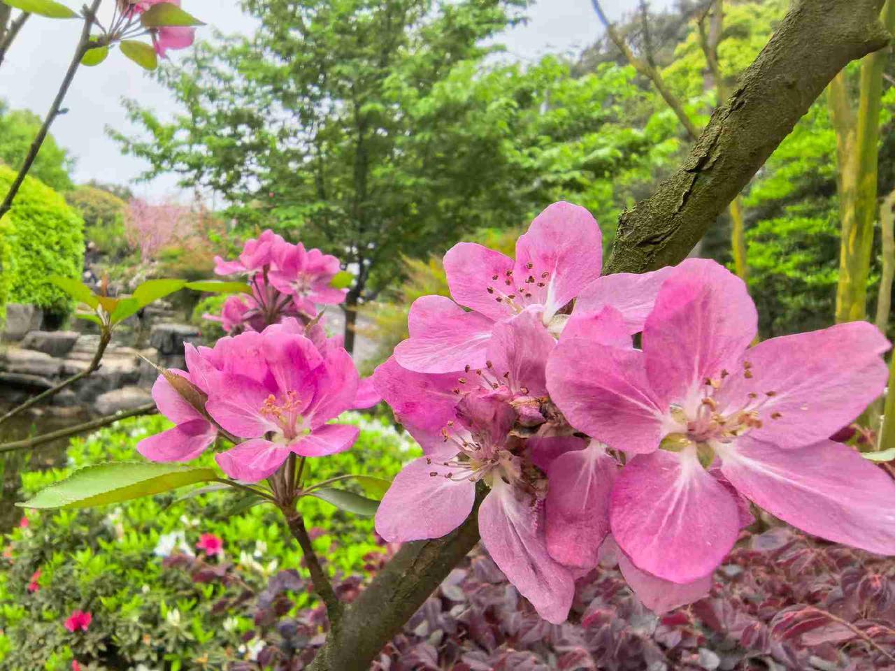 人生，一站有一站的风景，一岁有一岁的味道。无论别人如何待你，都要好好珍视自己，对