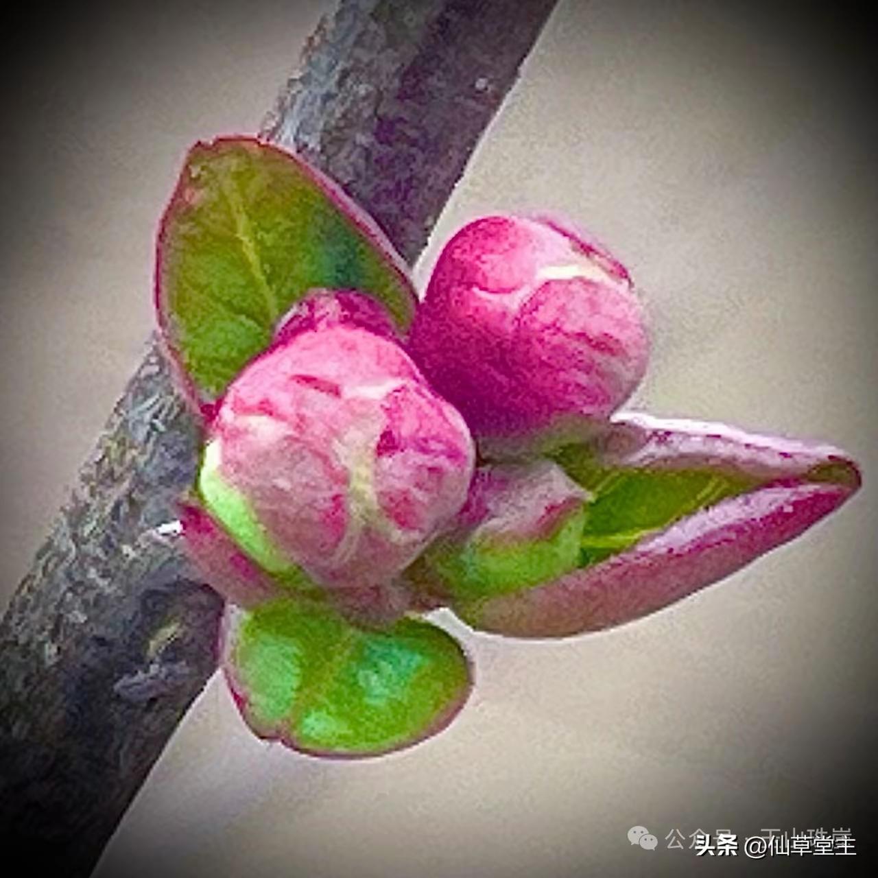 托人办事，不是“开口”那么简单，而是三分情商、七分分寸。高段位的托办，从来不是“