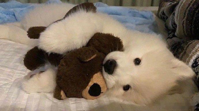 Welcome to 狗熊之家🐶🐻 
