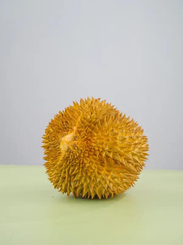 都说今年的经济不太好，钱不好挣，这一点从我媳妇身上就可以看出来，以前的时候，我们
