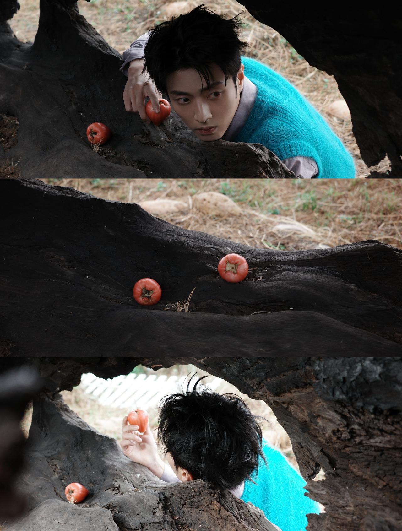 陈靖可超话 🍃陈靖可男人风尚生日刊 

室拍了拍草木之间的老板@陈靖可 ，并发