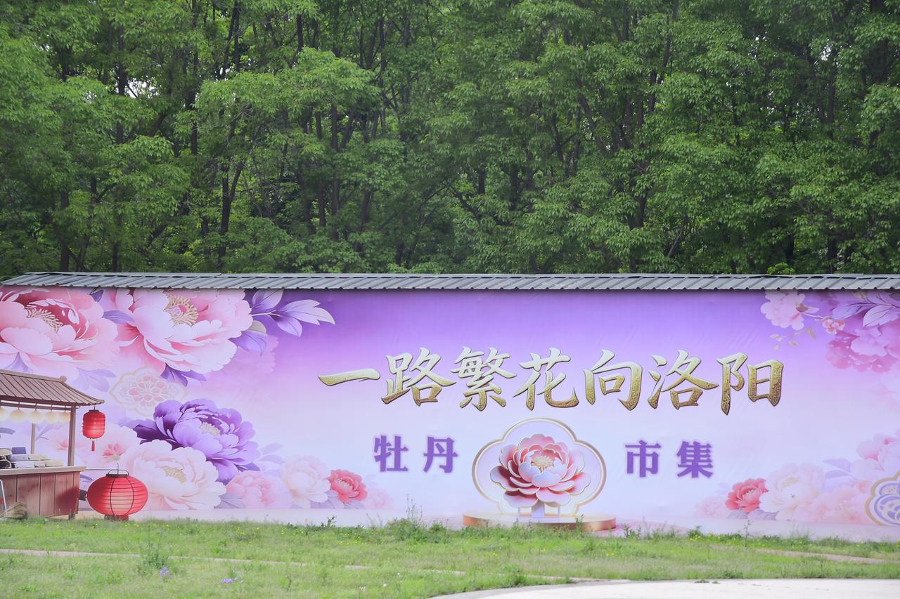 五天四晚的自由行结束了。
这是我第一次和朋友自驾游。14号从八点半出发。开车近八