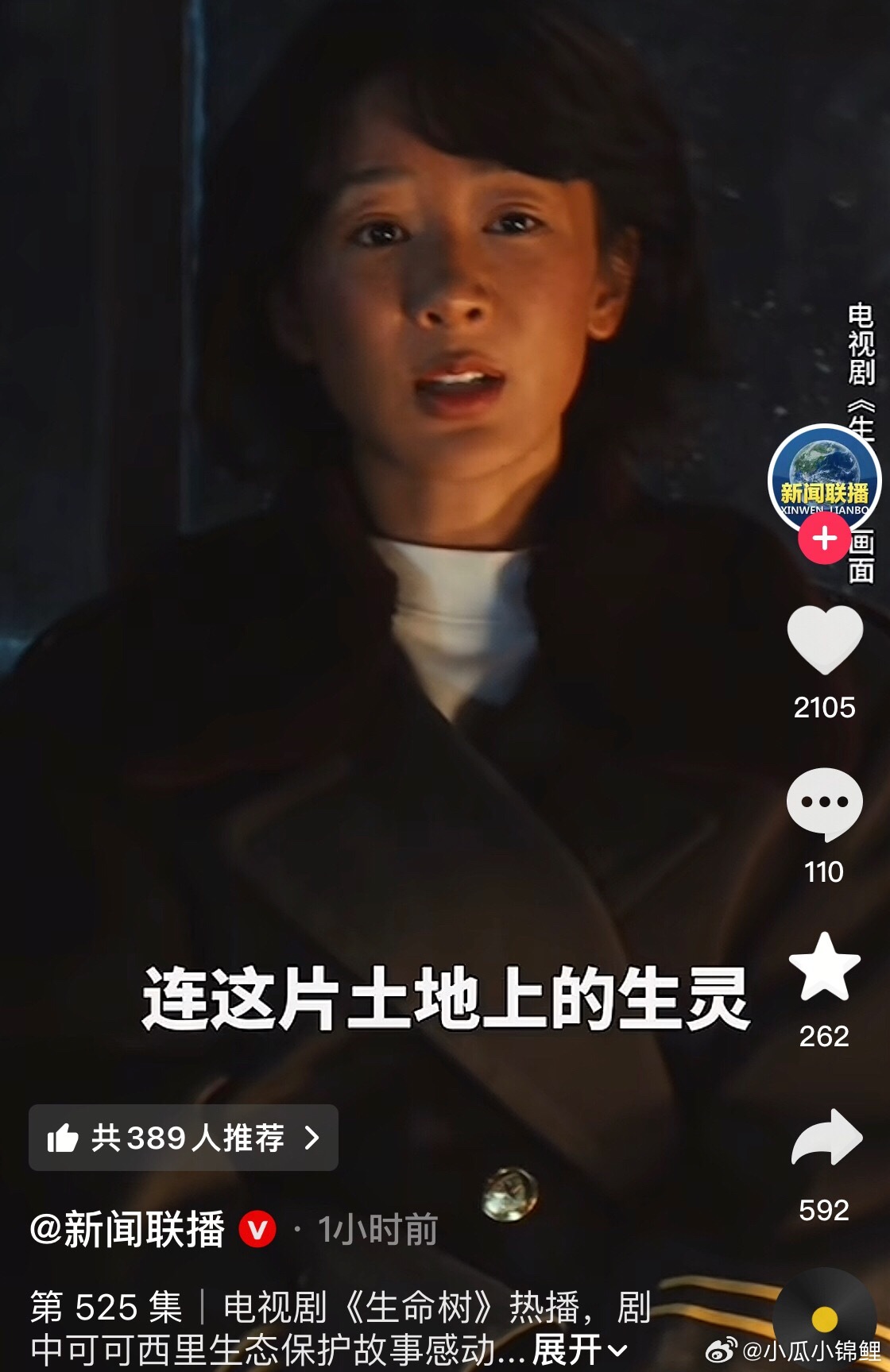 新闻联播讲了可可西里讲了生命树杨紫真牛 