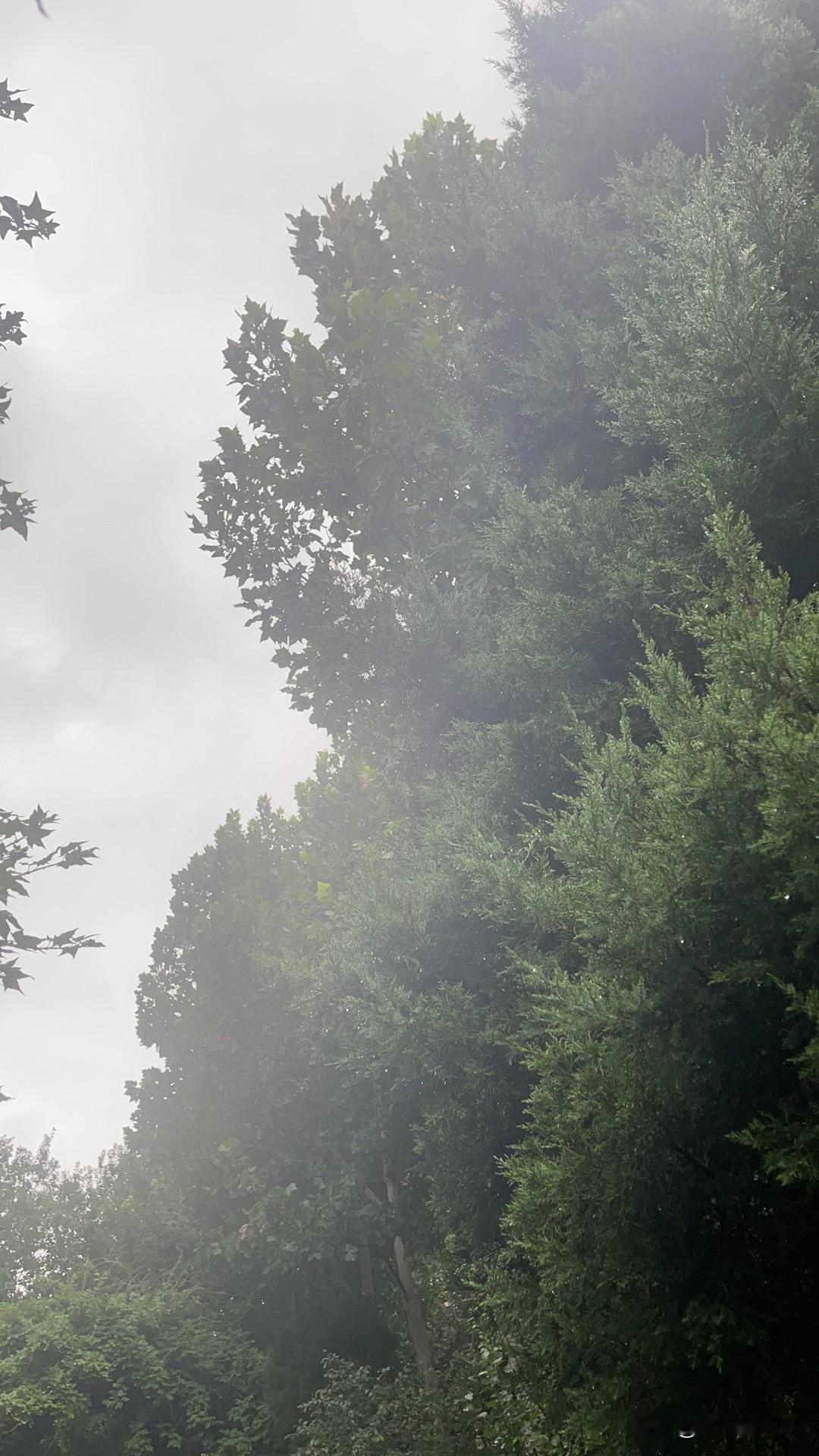 人这一辈子，活到最后比的是什么人吧……比一辈子，没啥意思！