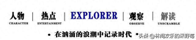 张本美和一句实话，点出孙颖莎真正的强大