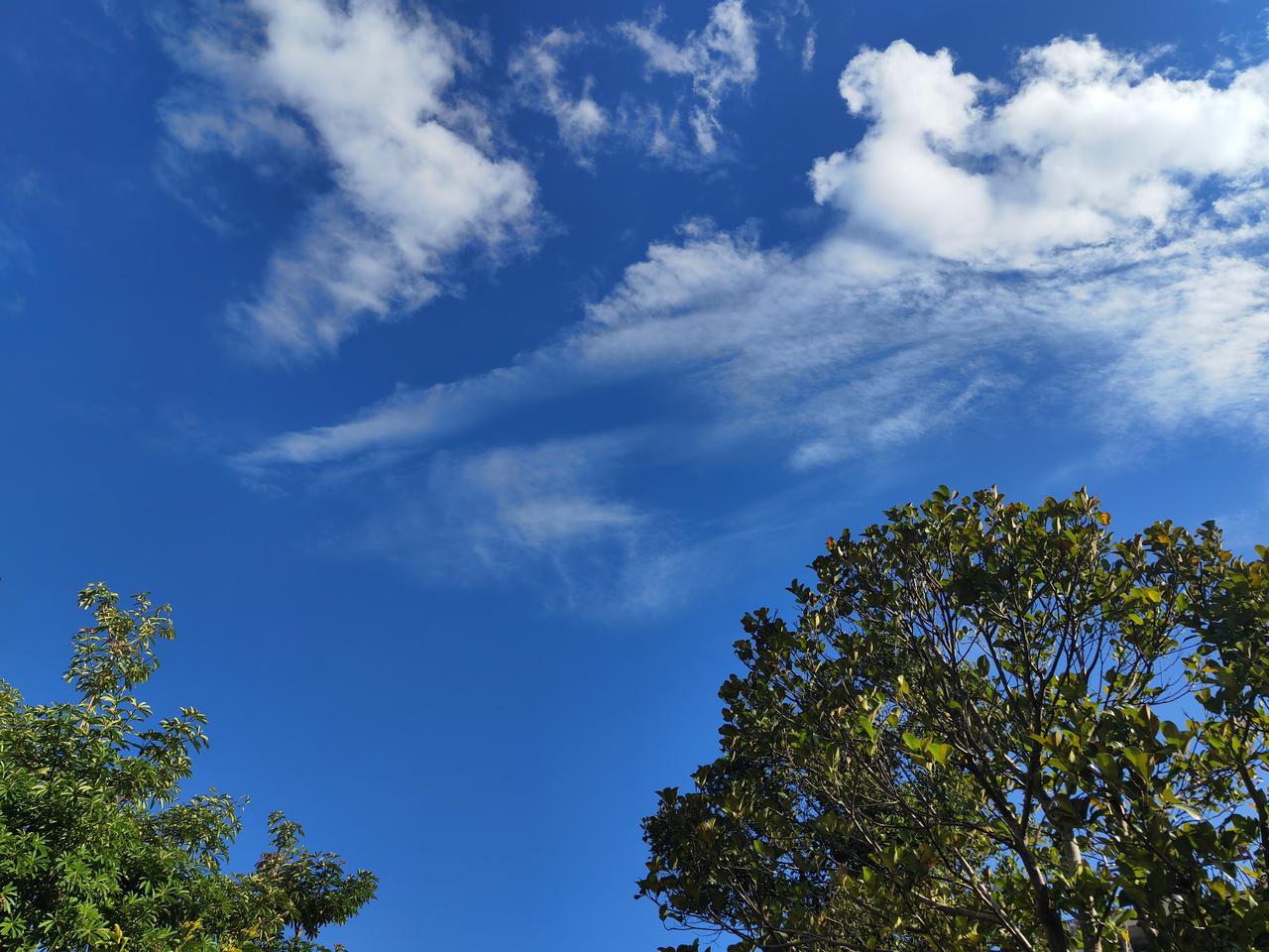 可以分享一下你拍的天空自然美照吗蓝天白云绿树