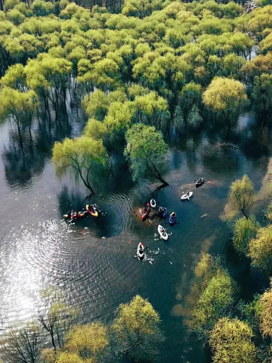 交换春天⁉️不私藏‼️1️⃣6️⃣个免费露营徒步地