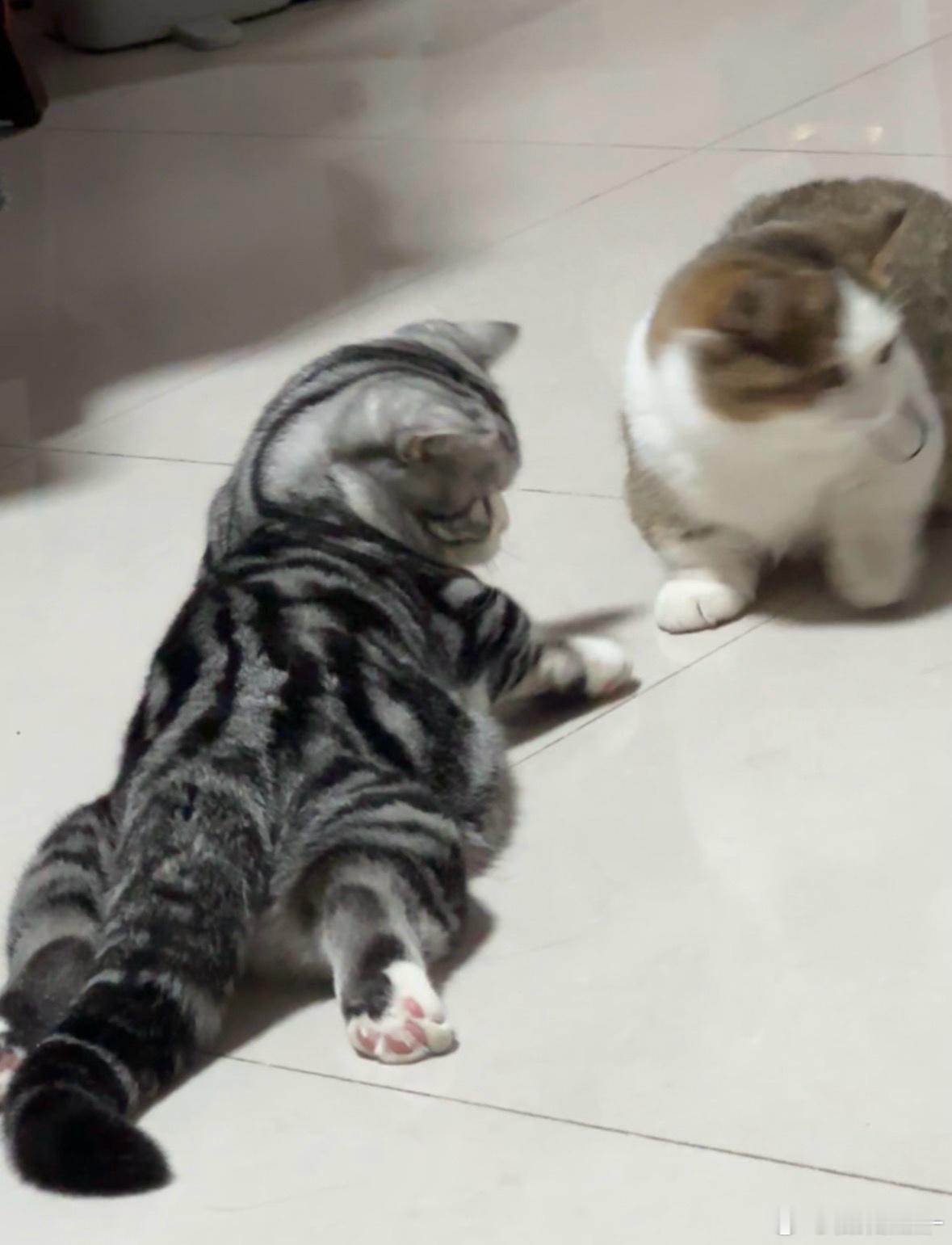 俺的娃也太可爱了吧！！！！ 