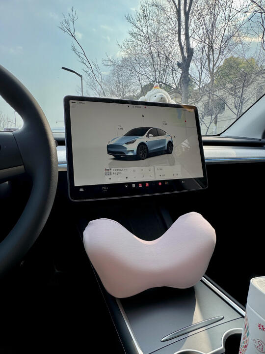 特斯拉提车半年就觉得它实用！