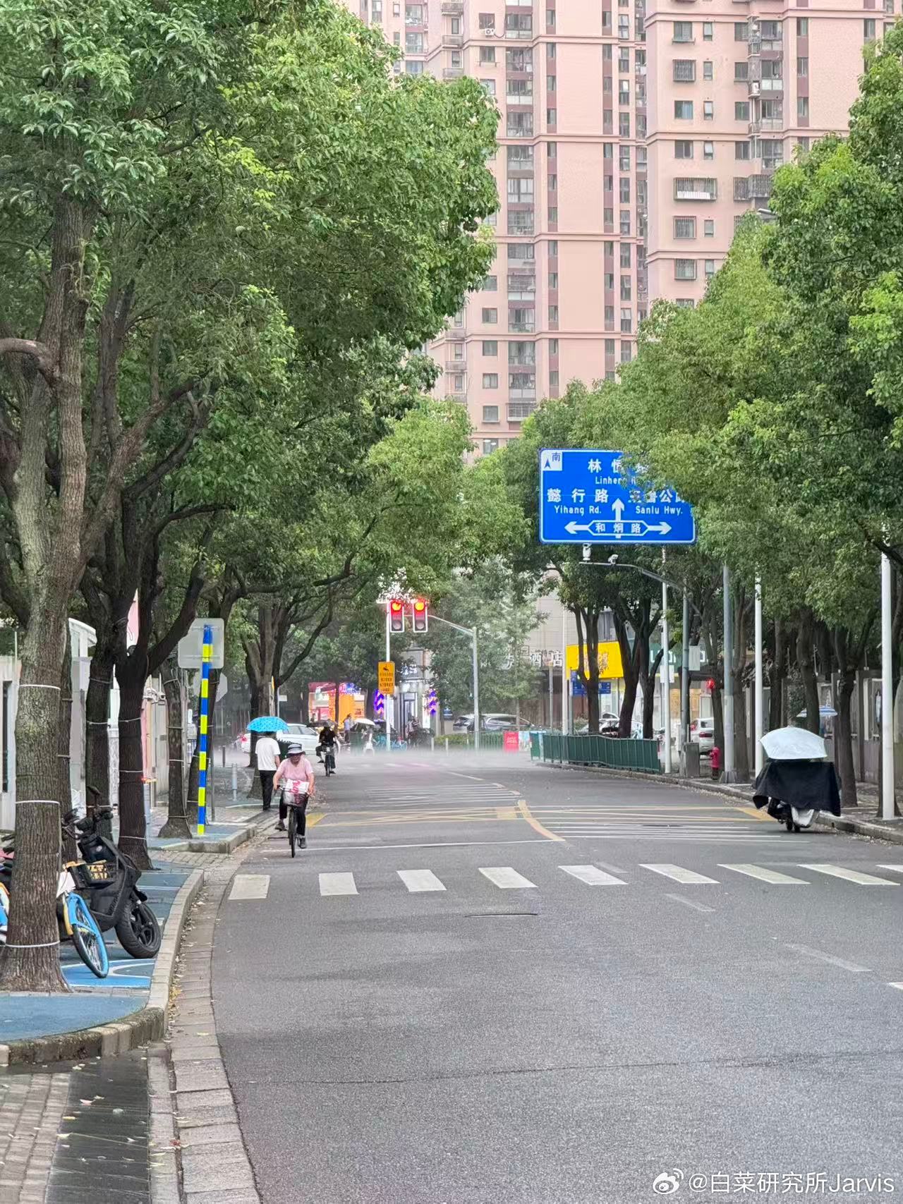 上海这个雨有意思，一片云到处跑。站在这个路口看下个路口下雨