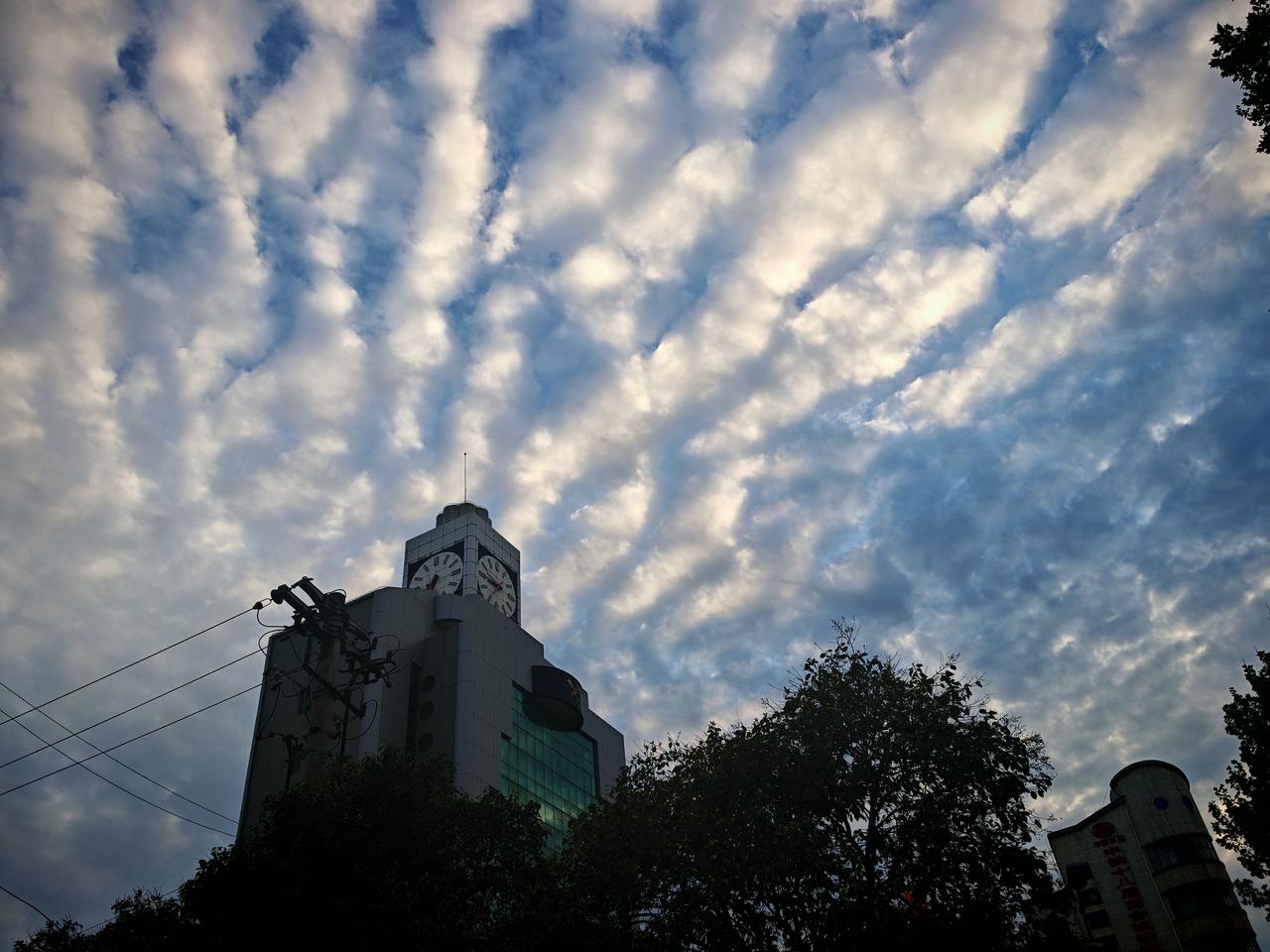 云的样子千奇百怪，有时候会像鱼。合肥曾在2026年1月3日午后出现“鱼鳞云”，气