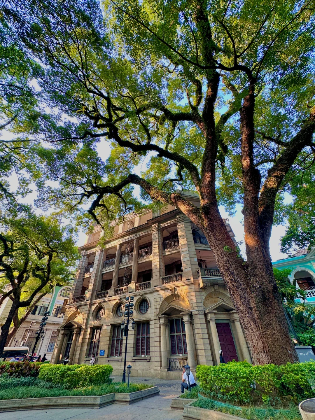 爱极了阳光下无与伦比的明媚沙面☀️