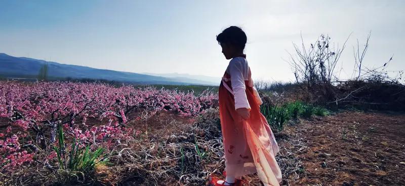 “桃花癫”和“花痴”可不一样。2026年江苏一位女大学生，觉得好多男同学喜欢自己