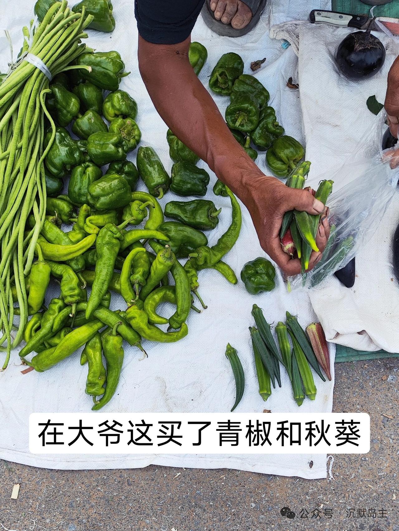 中年阿姨不能占卖菜小伙子的便宜

刚刚出来买菜，
先从大爷这儿买了5块钱的青椒，