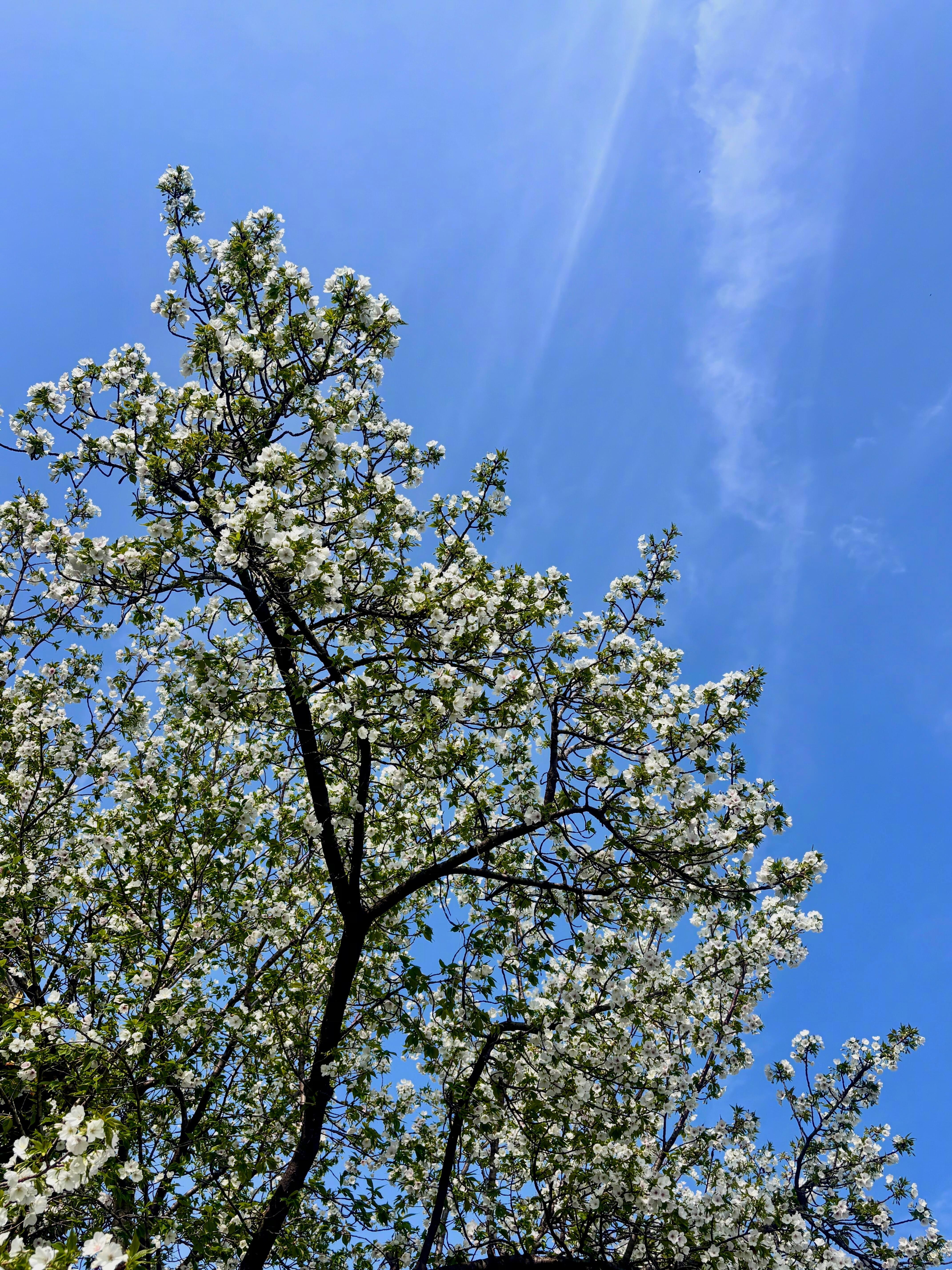 ✍🏻💭⁺⊹写点快乐小笔记!!🌷（ᐡ｡‿｡ᐡ）🍃 