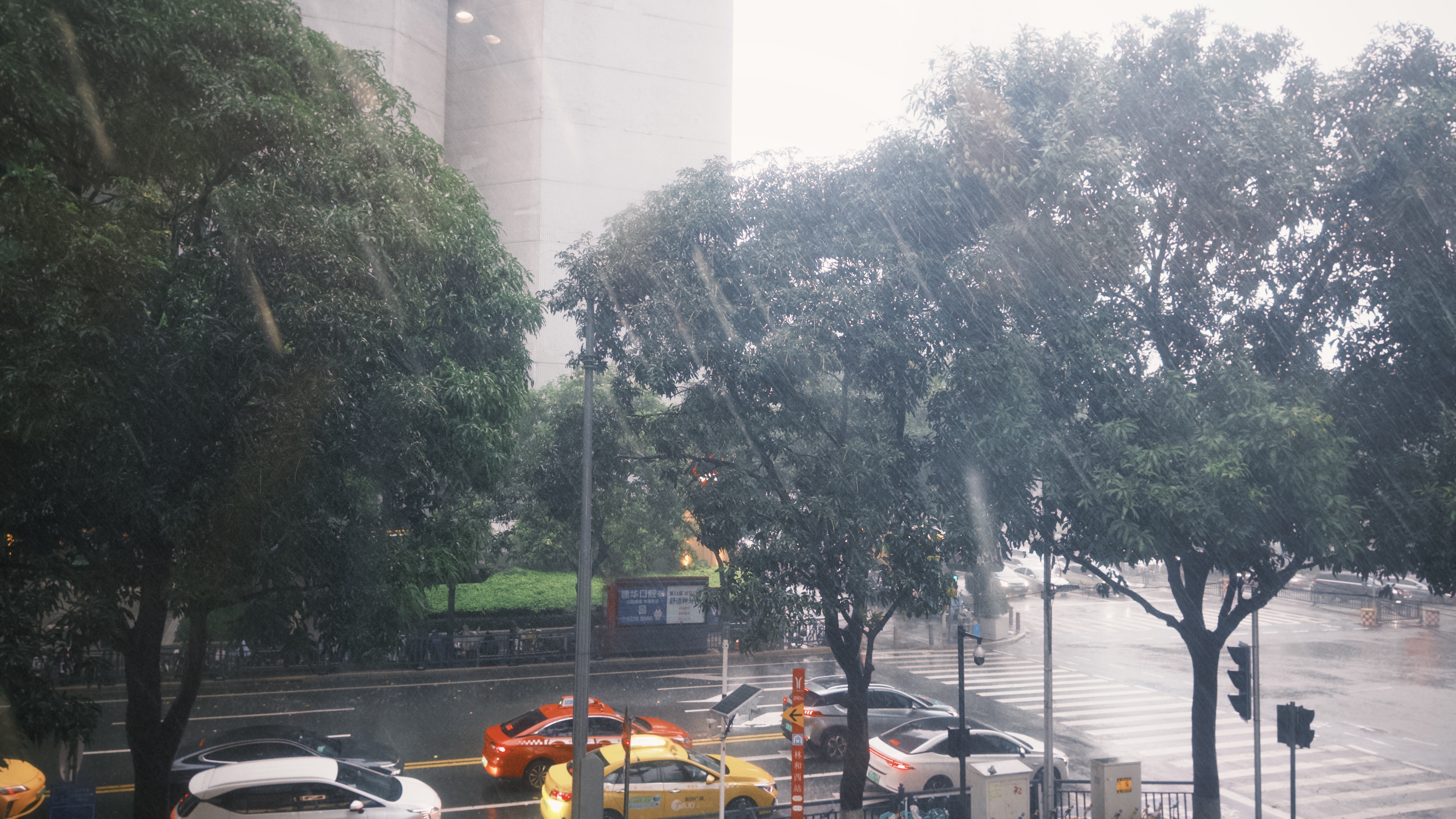 龙舟水呀！这雨下的也这真够大的！完全不敢出门了！ 