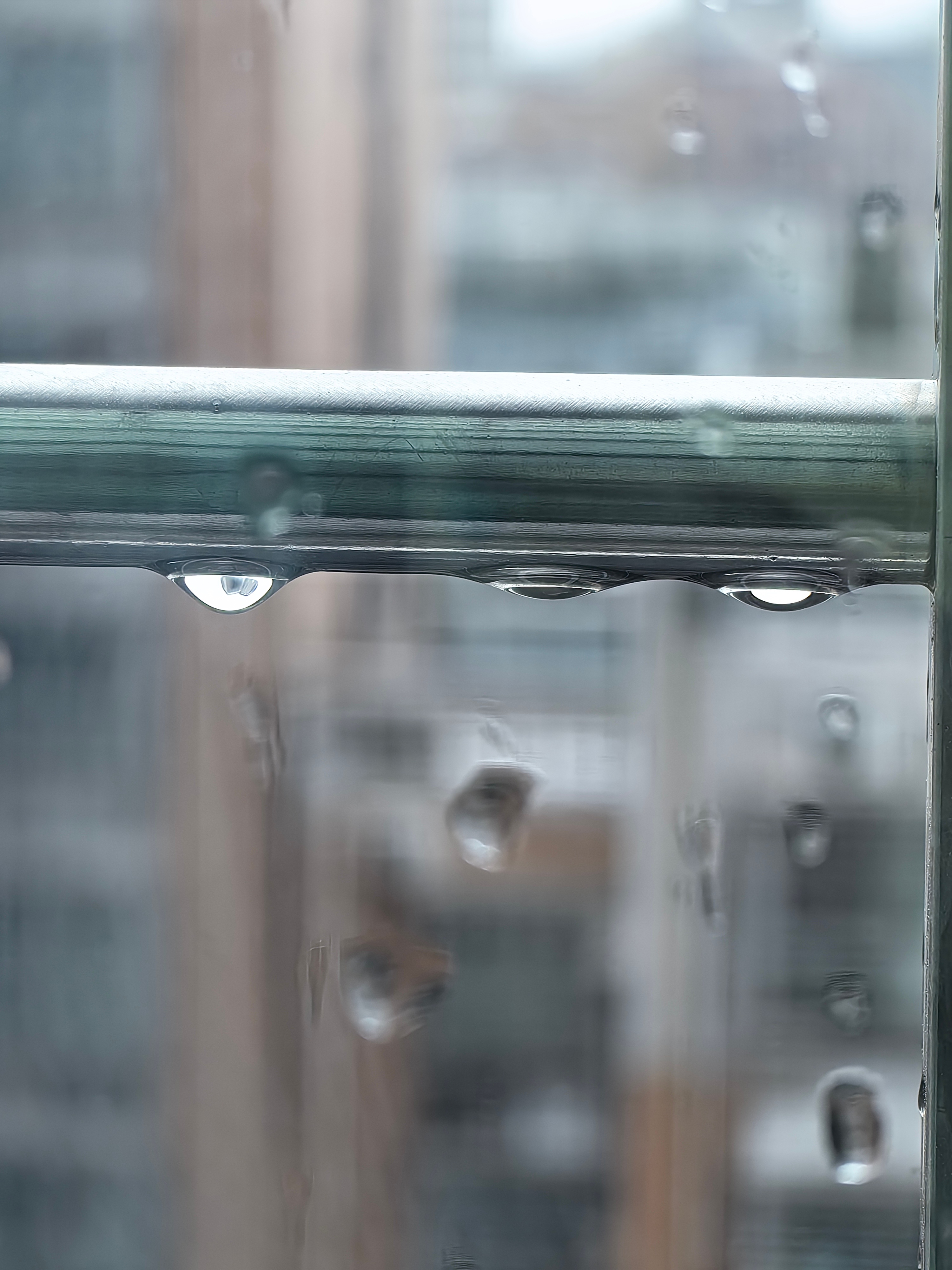 这些天雨水真多。今天下的有点大。 