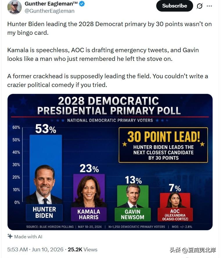 Hunter Biden 在2028年民主党初选中领先30个百分点，这完全不在我
