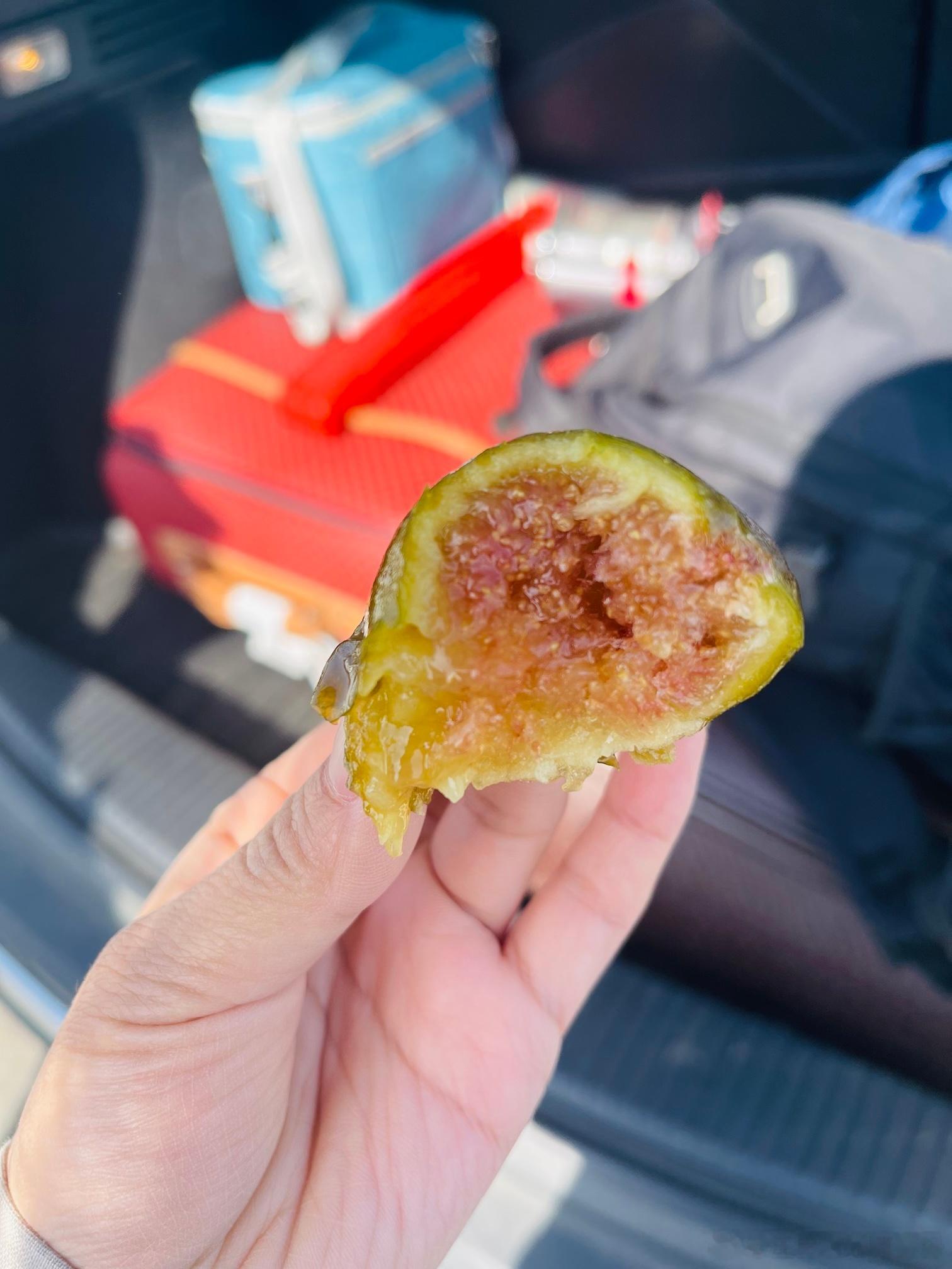 长途旅行，我带了这个，之前冷冻在冰箱里的，既解馋又补糖[good][good][