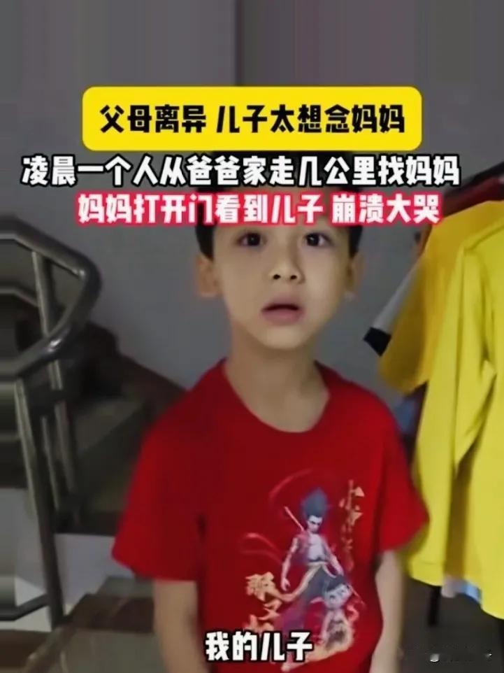 父母离婚，男孩判给了爸爸，他很想妈妈，凌晨5点离开爸爸家，走了几公里来到妈妈家。