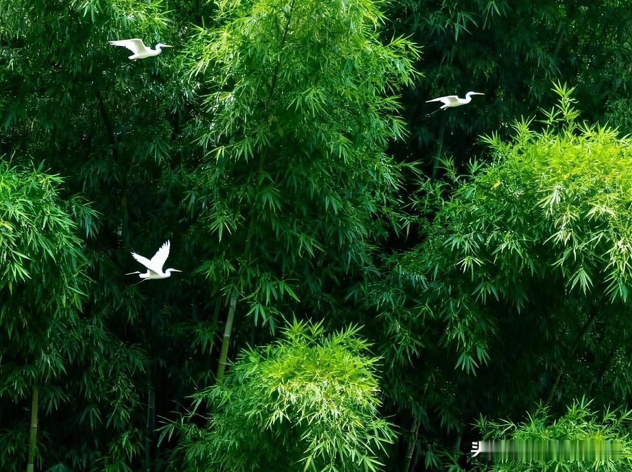 快来看看我新换的主页背景吧