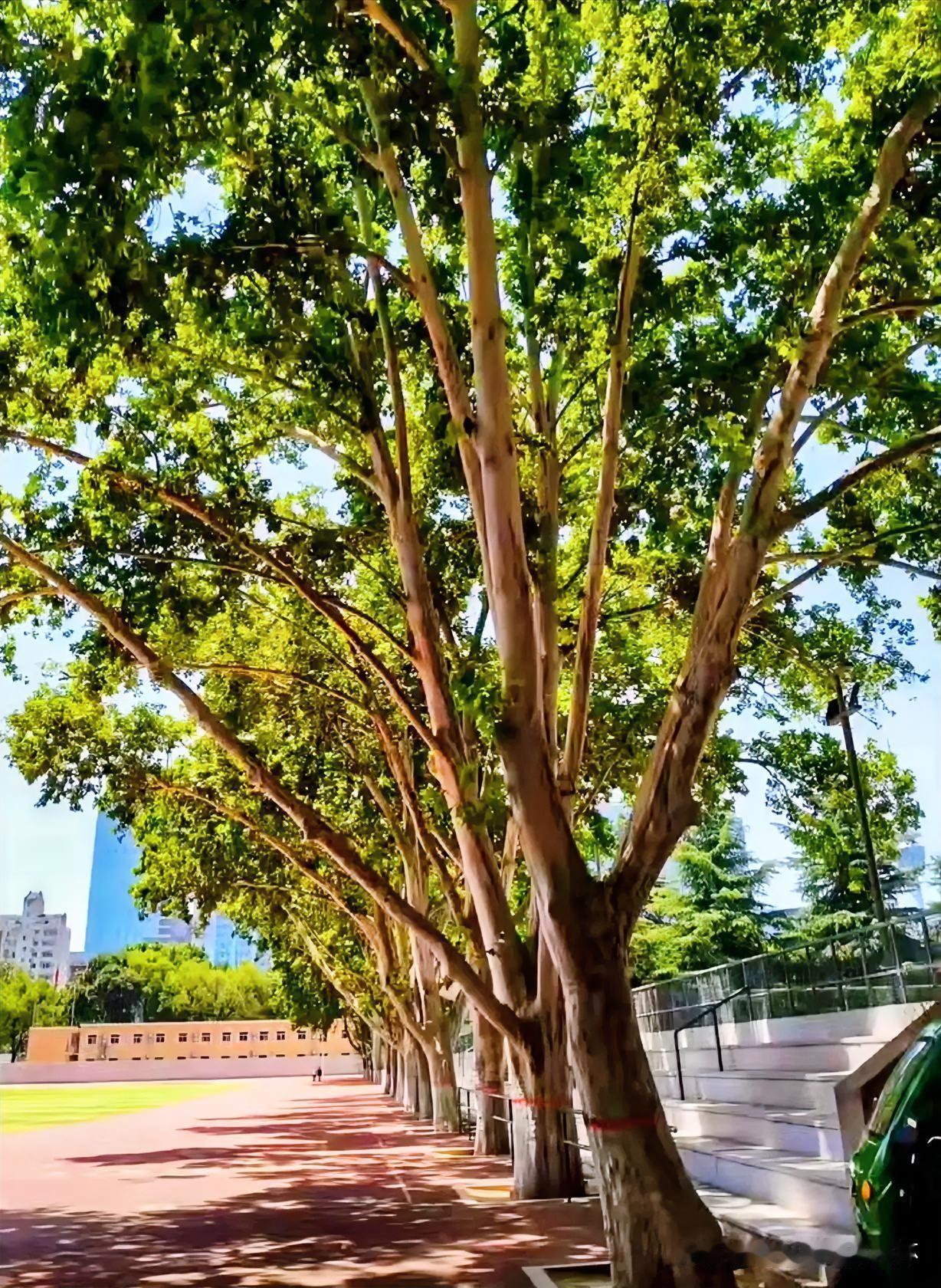 上联：忽有故人心上过
下联：有请雅士[玫瑰][玫瑰][玫瑰]