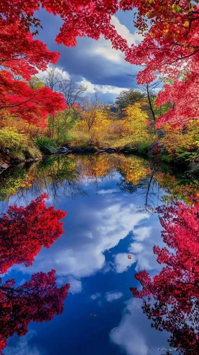 #秋日生活打卡季##秋天最美的画面# #分享秋季美景# #秋季美景😍# #分享