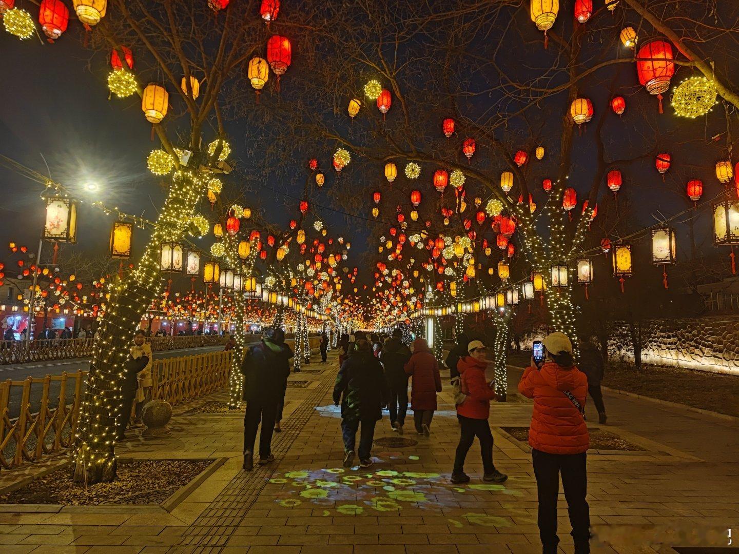 颐和园同庆街赏花灯  摄影