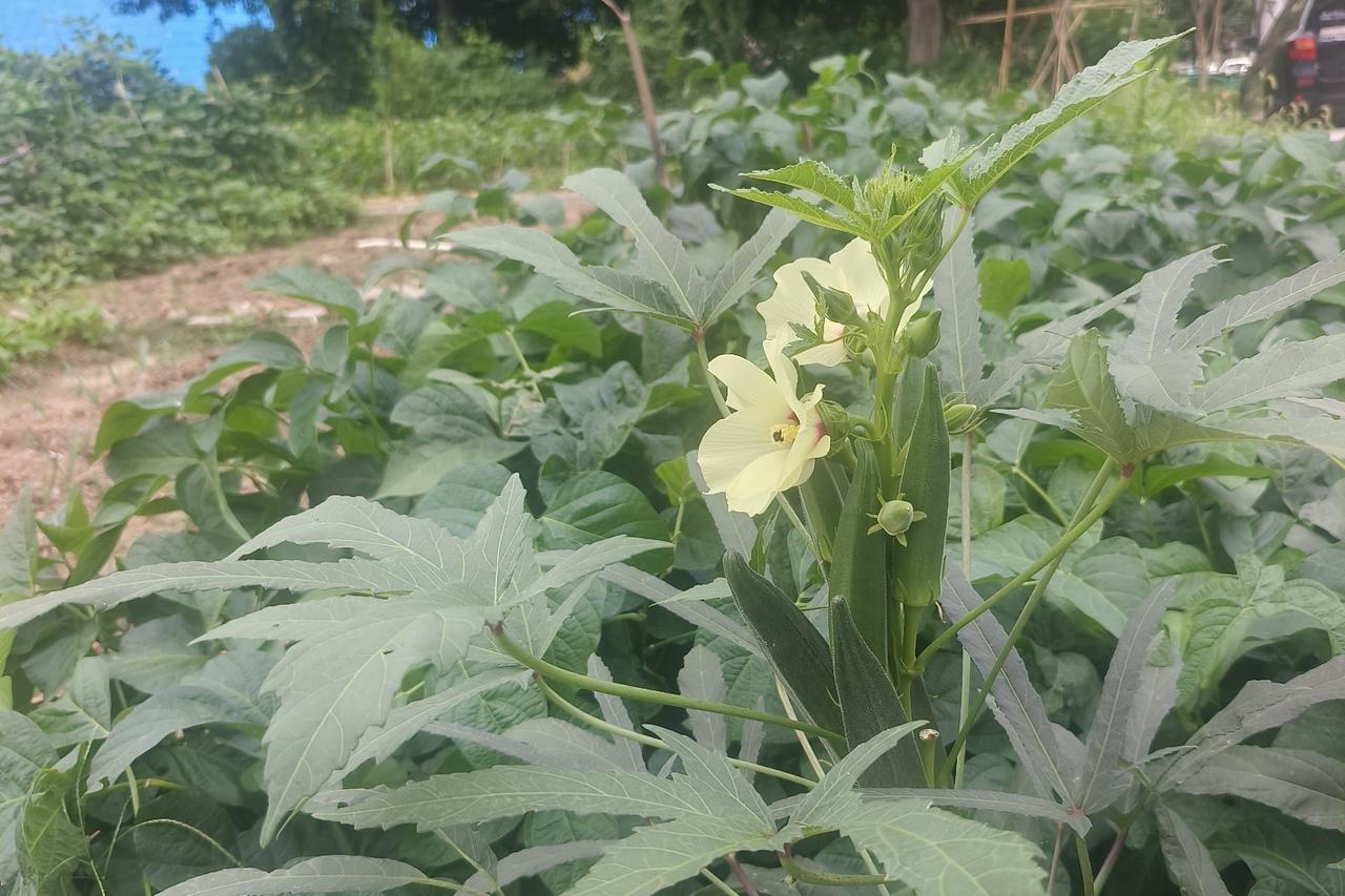 他删你拉黑就是他恨你吗？不是。
有时候太喜欢一个人，太在意反而要拉黑删除，说明他