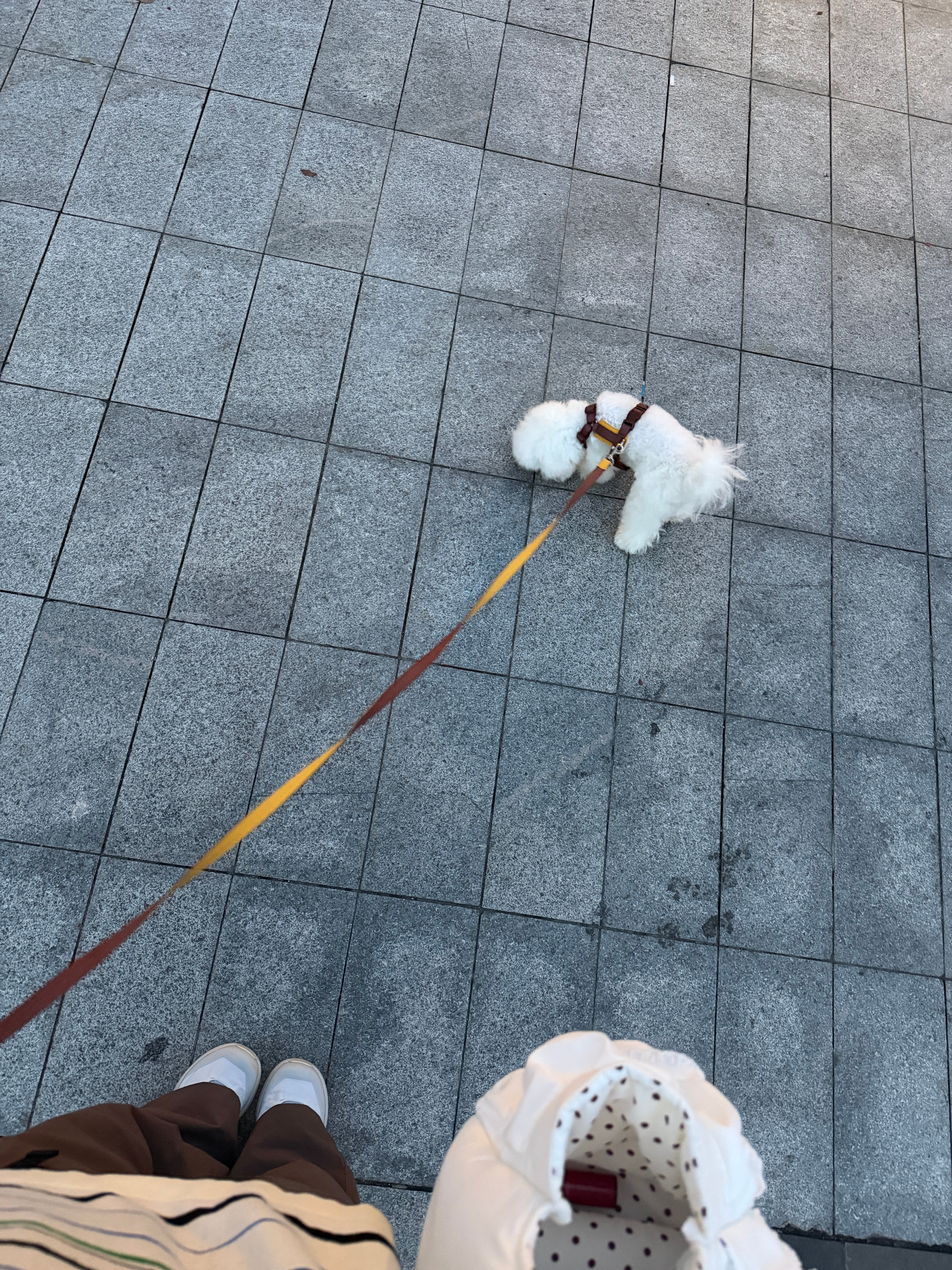 无解的事情就交给时间 ​​​