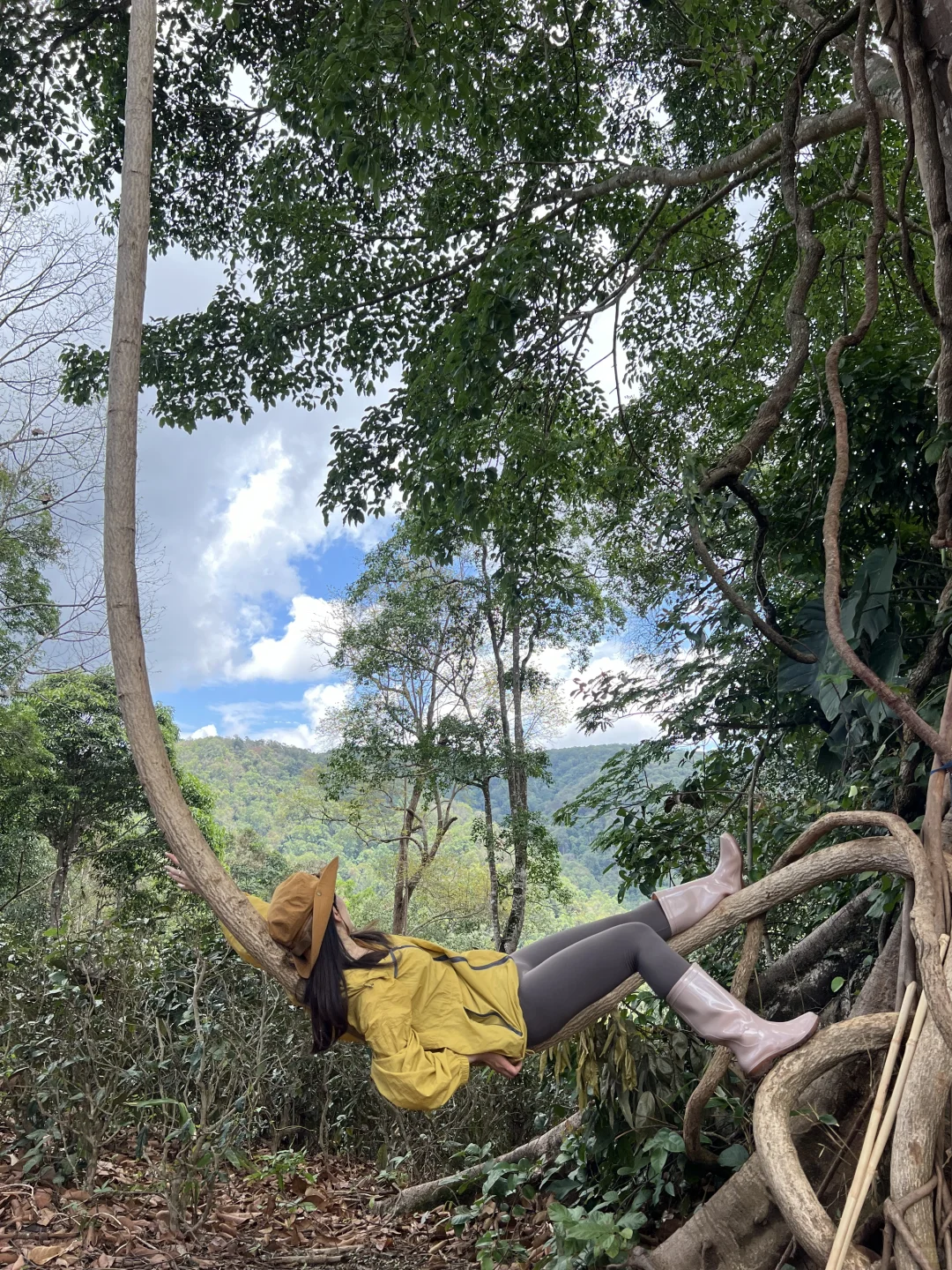 户外年度18图 ⛰️大树会拥抱每一个抬头的人