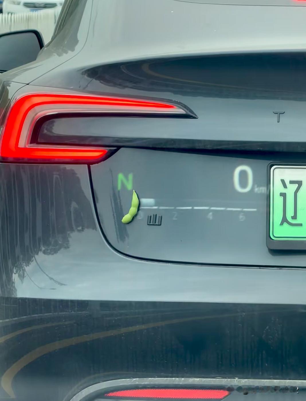 Model 3吗？辽宁车主平卷舌不分，毛豆山