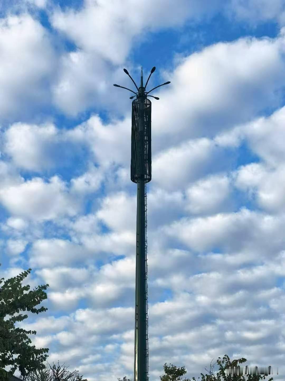 分享一下你随手拍下的照片