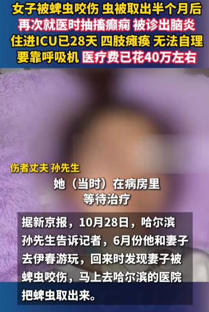 “最担心的事情还是发生了！”黑龙江哈尔滨，男子和29岁的妻子带狗去外出游玩，岂料
