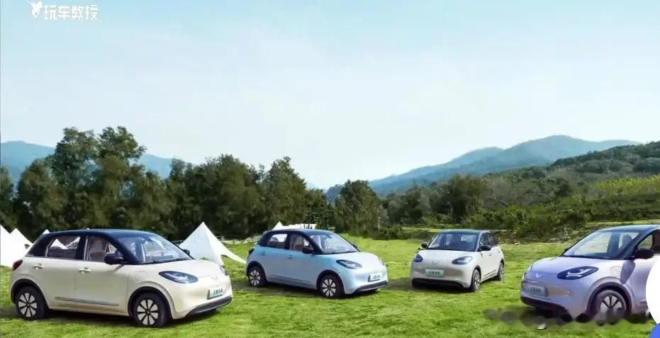 在那些灵巧的纯电小车市场里，缤果这一家子一直挺受欢迎。光是2025年，就卖出了超