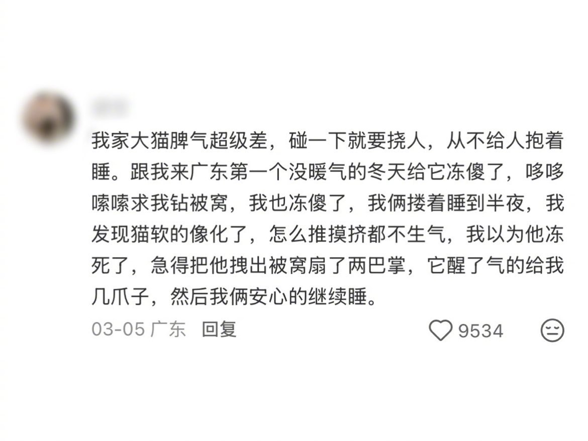 不要低估一只深度睡眠的猫，能睡成什么“鬼样子”，真的像嘎了一样 