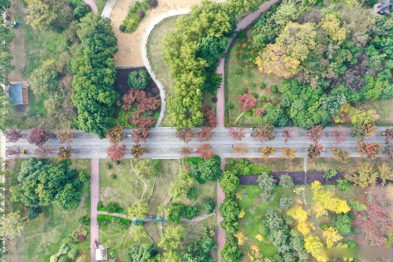 📍图片拍摄位置：汉口江滩三期沙滩游乐场附近（永泰路入口旁）
拍了拍武汉在武汉过